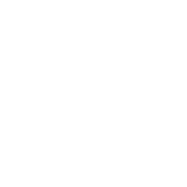 Safety Culture in white