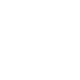 Umbro logo in white