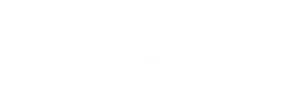 Partner Name