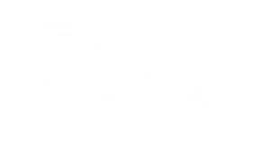 Partner Name