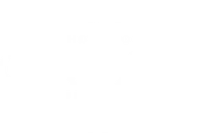 Partner Name