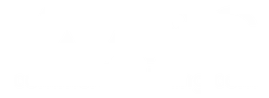 Partner Name