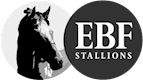 EBF Stallions 