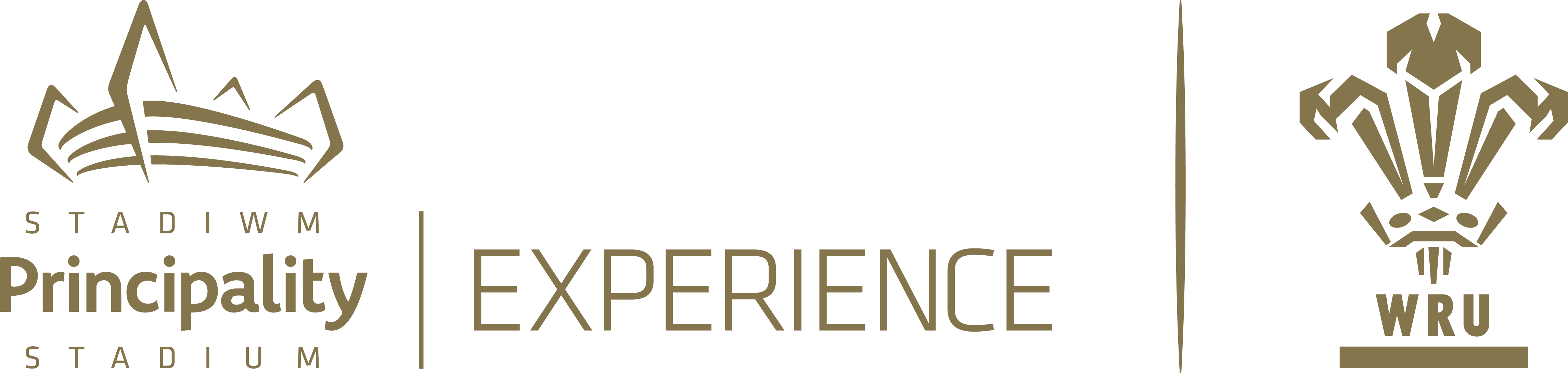 Principality Stadium Experience