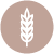 Rye